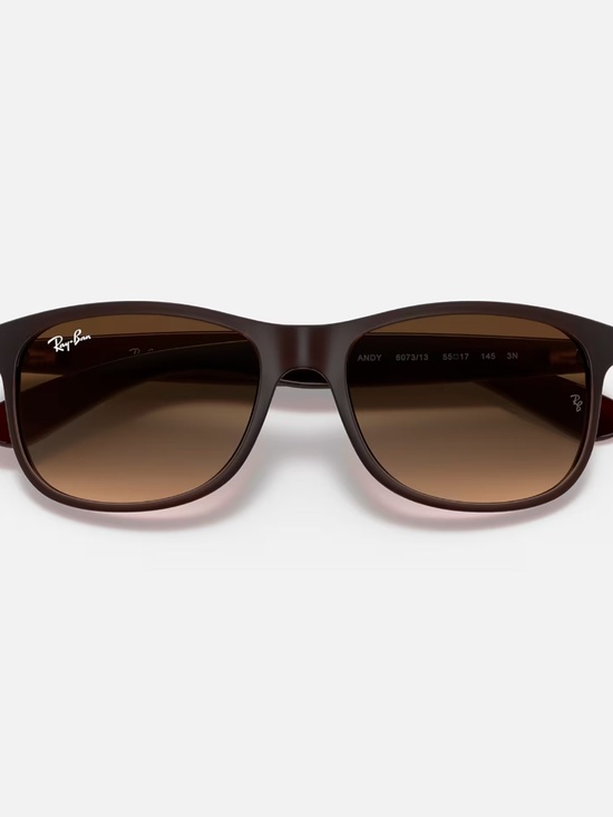 Ray-Ban Andy sunglasses (RB4202). Brown frame/brown gradient lenses main image 7